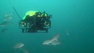 Exail - R7 Compact Observation Class ROV EOD Operations