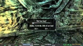 (Former WR) Skyrim Any% Speedrun - 39:17