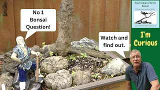 What is the MOST commonly asked Bonsai Question???