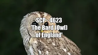 SCP - 4623 'The Bard (Owl) of England'