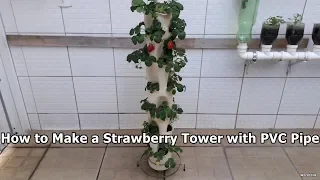 How to Make Vertical Garden from PVC Pipe - Strawberry