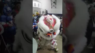 El dragon chino entre la gente