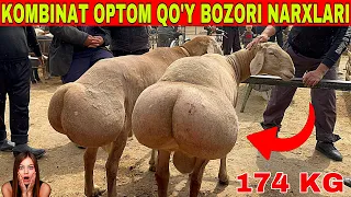 KOMBINAT OPTOM QO'Y BOZRI YANGI NARXLARI BOZOR ARZONLADI SHOSHILAMIZ 2024 YIL