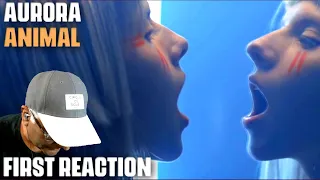 Musician/Producer Reacts to "Animal" by AURORA
