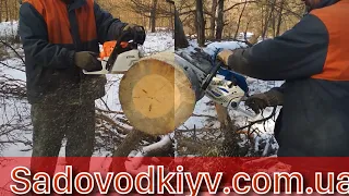 Бензопила Stihl MS 251(3,0л.с) VS Бензопила Zomax ZMC 5601(3,5 л.с)