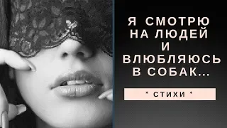 * СТИХИ * Я смотрю на людей и влюбляюсь в собак... * И. Самарина-Лабиринт