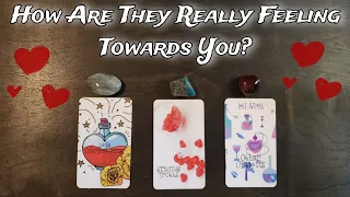 💕🌟 How Are They Really Feeling Towards You? 💕🌟🤯  Pick A Card Love Reading
