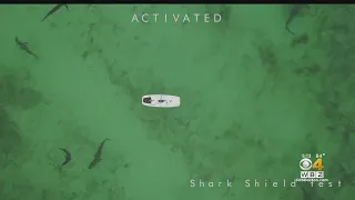 Shark Deterrent Creates 'A Virtual Net' Around Swimmers, Surfers