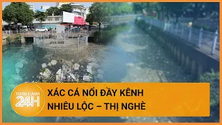 Sau cơn mưa, xác cá lẫn rác thải nổi đầy kênh Nhiêu Lộc – Thị Nghè, TP.HCM| Toàn cảnh 24h