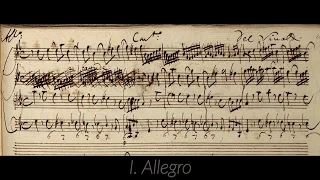 VIVALDI | Concerto RV 157 in G minor | Original manuscript