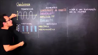 Ondulatória - Os tipos de onda e os elementos de uma onda