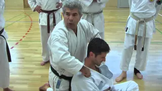 Lehrgang mit Fritz Oblinger, 7.DAN - Demo zu Kyûshô-Jitsu