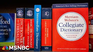 Dictionaries a casualty of right-wing book ban panic