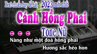 Cánh Hồng Phai Karaoke Tone Nữ Tiktok Karaoke