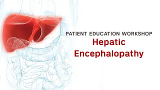 Workshop | Hepatic Encephalopathy