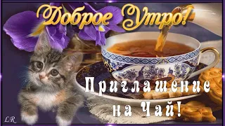 С Добрым Утром! Приглашение на Чай!💖Я угощу Вас чаем из МЕЧТЫ... Угощение от души!