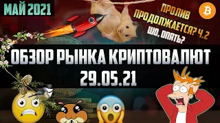 Обзор рынка криптовалют 29.05.21. Май 2021. Падение продолжается - хомяки продолжают паниковать!