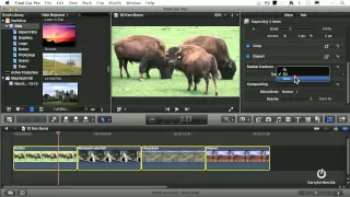 Using Still Images in Final Cut Pro X - webinar preview