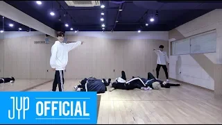 Stray Kids "Mirror" Dance Practice (Part Switch Ver.)