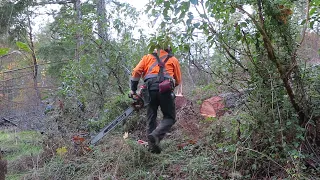 Keith Mckenzie- Pro faller/Logger,  Vid #2