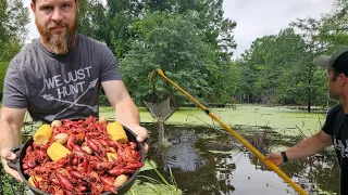 Crawfishing a Louisiana Swamp for Dinner w/ Redline Outdoors (Catch & Cook)