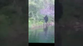 BIGFOOT NEW PHOTO S FROM FLORIDA AUG 2021