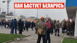 Как забастовки идут по всей Беларуси | Гродно-Азот, студенты, МТЗ, ММЗ