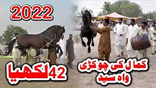 Lakhiya vs Ghulam e Ali ll Horse Dance ll Sakhi Mehmood Langah Harrpa Sahiwal ll 2022