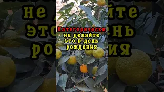 Категорически не делайте это в день рождения