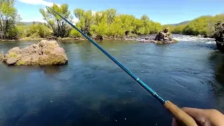 NO PESQUEN TRUCHAS ASÍ...❌🍀🎣 "Pesca en Rio Malleo" #junindelosandes #argentina #chile