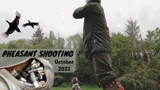 Pheasant Shooting | Driven Birds | Working Dog