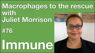 Immune 76: Macrophages to the rescue with Juliet Morrison