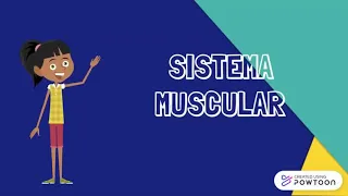 Sistema Muscular | Corpo Humano para crianças