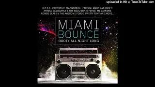 Mix Freestyle Miami Bass Booty & Funk Electronic CD (Deejay Nando) (Original CD Elgin Recordable)