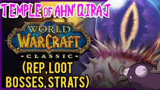 Temple of Ahn'Qiraj (AQ40) Classic WoW Guide 👁️ DUNGEON DIVES