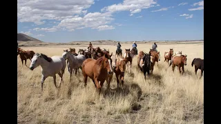 Weekend TV Worth Watching! A New Award for Today's Wild West - The Will Rogers Medallion Award!