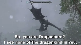"What Did Alduin Said When You First Met Him???"
