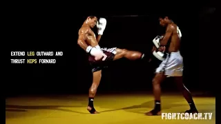 Muay Thai Front Kick: instructional video