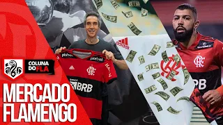 PAULO SOUSA CHEGOU | RENOVAÇÃO MILIONÁRIA COM A ADIDAS | CLUBE RUSSO DE OLHO EM GABIGOL