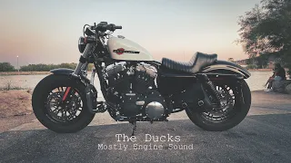 Harley Davidson Forty-Eight 48 Mostly Engine Sound | Dusk Ride