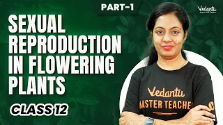 Sexual Reproduction in Flowering Plants | Part 1 | Class 12 Biology | CBSE 2024 | Nivetha Ma'am