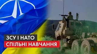 Відповідь агресору, або РФ "брязкає зброєю": як українська армія проводить навчання спільно з НАТО
