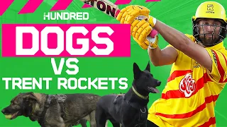 Trent Rockets 🆚 DOGS Challenge! 🐶 | feat. Sam Hain, Kirstie Gordon, Dawid Malan & Naomi Dattani