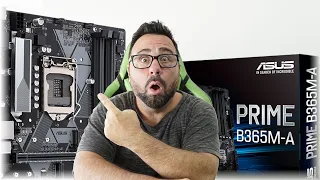 Asus PRIME B365M-A - La Placa Madre Perfecta