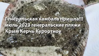 Генеральская камбала пришла!! Подводная охота 2023 охота в крыму 2023 ночная охота на камбалу 2023