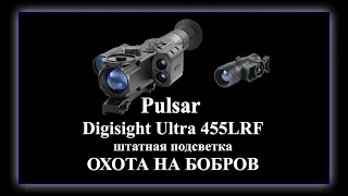 Pulsar Digisight  Ultra 455LRF + штатная подсветка.  Охота на бобров.