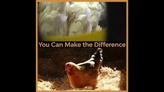You Can Make the Difference #WorldVeganDay