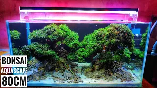 #159 Membuat 2 bonsai Aquascape ukuran 80cm