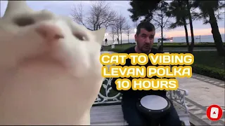 10 Hours - Cat Vibing To Ievan Polkka (Official Video HD) Cat Vibing To Music | Cat Vibing Meme