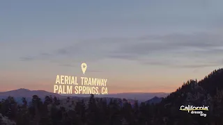 Check out the Aerial Tramway in Palm Springs!